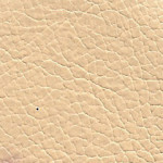 024 Cream Crush