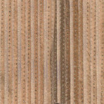 026 Cream Gold Stripes