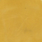 099 Dirty Yellow Nubuck