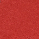113 Warm Orange