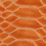115 Orange Glazed Croc